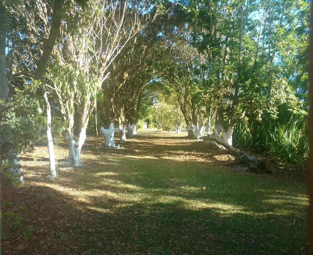 Terreno à venda - Foto 6