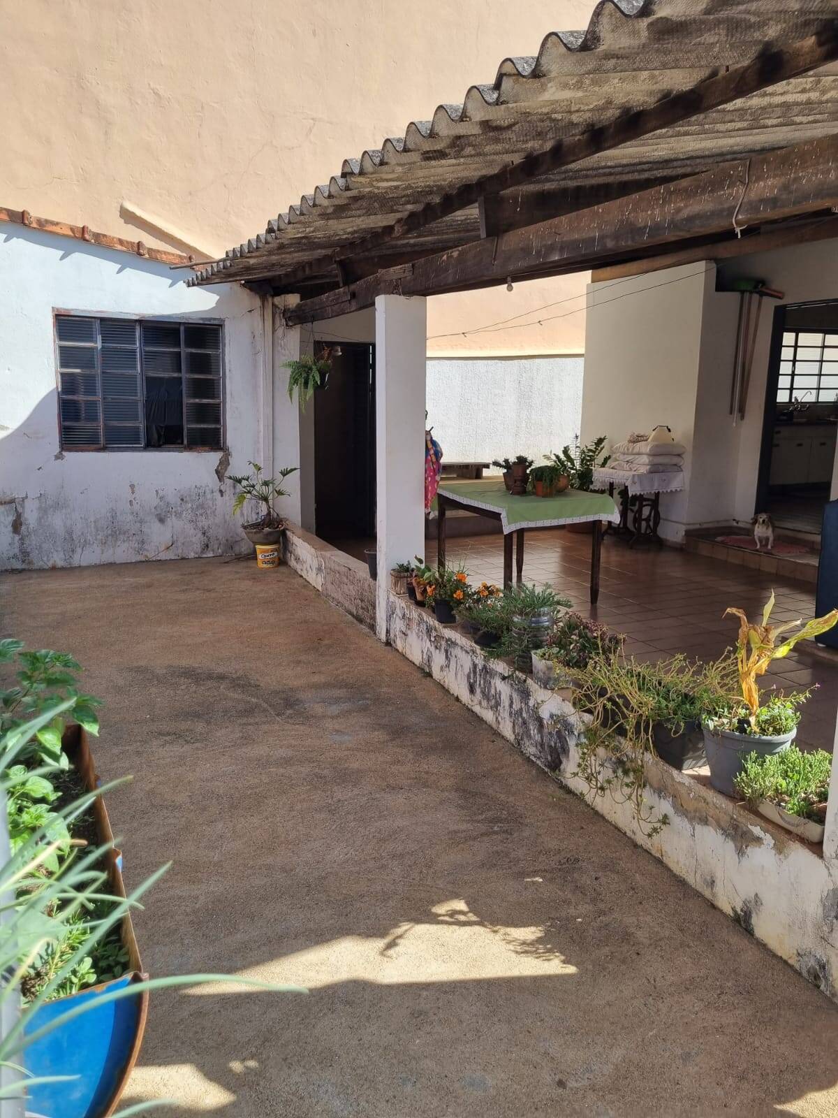 Casa à venda com 3 quartos - Foto 5