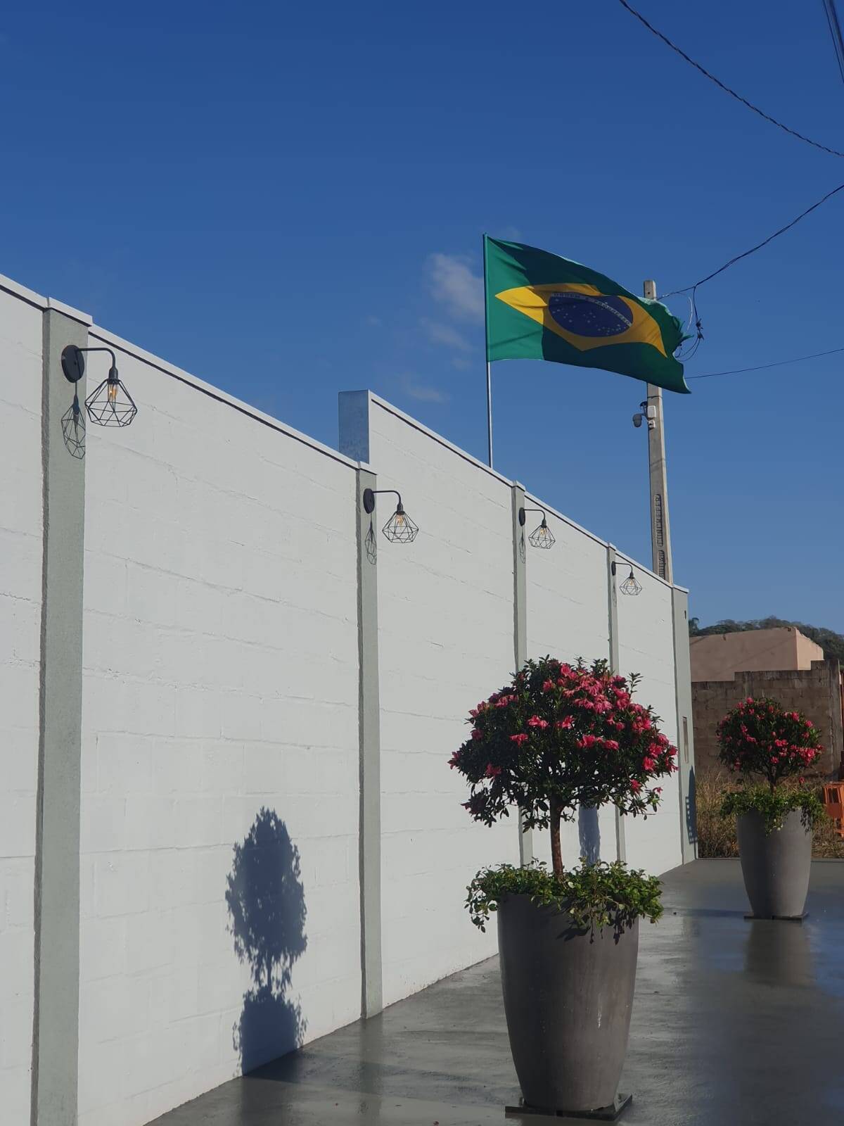 Fazenda à venda com 3 quartos, 1000m² - Foto 8