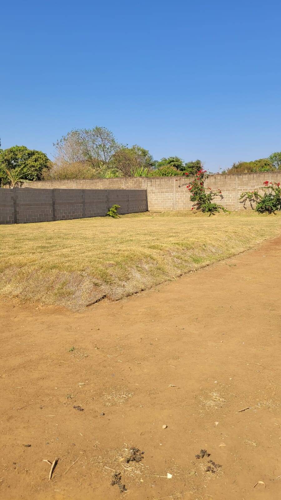 Fazenda à venda com 1 quarto, 300m² - Foto 7